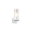 R21596131.png