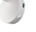R86781731_3.png