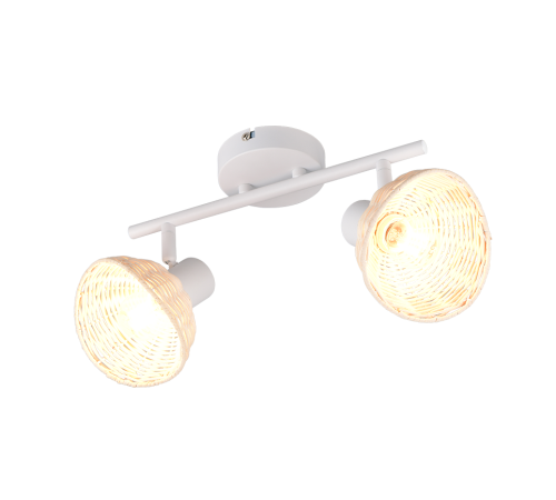 R86782031.png