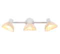 R86783031_1.png