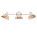 R86783031_3.png