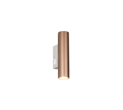 R26852765.png
