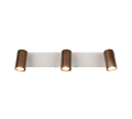 R86853065_1.png