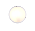 R26931631_1.png