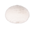 R61582001.png