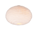 R61582001_1.png