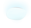 R63071101_1.png
