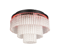 R63441032_5.png