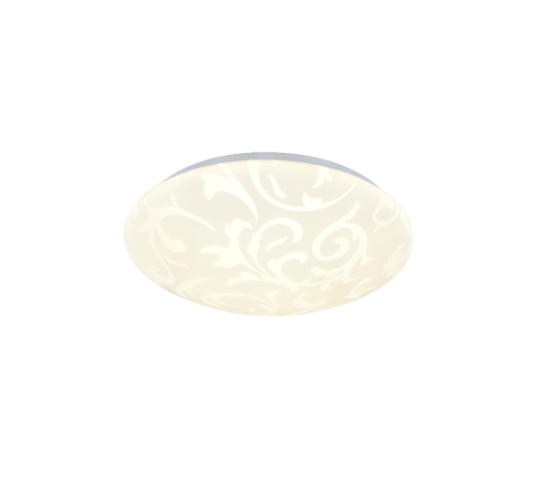 R64635101.png