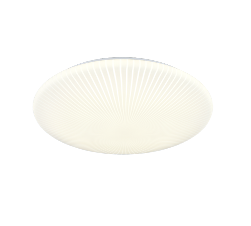 R64636901.png
