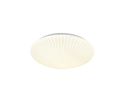 R64636101.png
