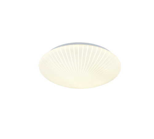 R64636101.png