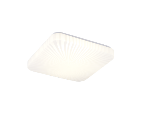 R64661901.png