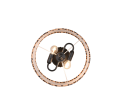R66742032_2.png