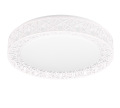 R67321101_4.png