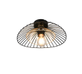 R66791032.png