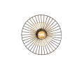 R66791032_1.png