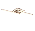 R67303107.png