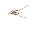 R67303107_1.png