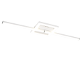 R67303131_2.png