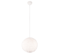 R31581001 (1).png