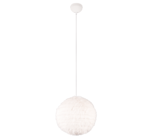R31581001 (1).png