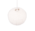 R31581001_1.png