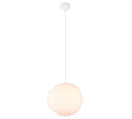 R31581001_3.png