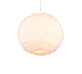 R31581001_5.png