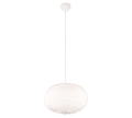 R31581901.png