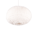 R31581901_2.png