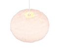 R31581901_4.png