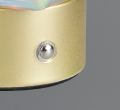 R53121117_1.png