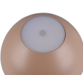 R54106165_3.png