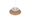 R36841065_1.png