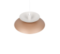 R36841965_1.png