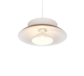 R36841965_2.png
