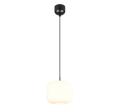 R36861901.png