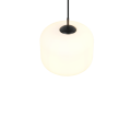 R36861901_1.png