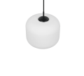 R36861901_4.png