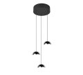R33553306.png