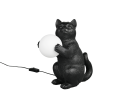 R56621002_1.png