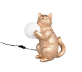 R56621079_1.png