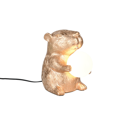 R56721079.png