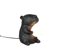 R56721002.png