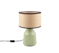 R56801015_1.png