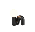 R56821002_2.png