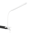 R57941131_3.png
