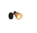 R86491036_1.png