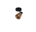 R86491036_3.png
